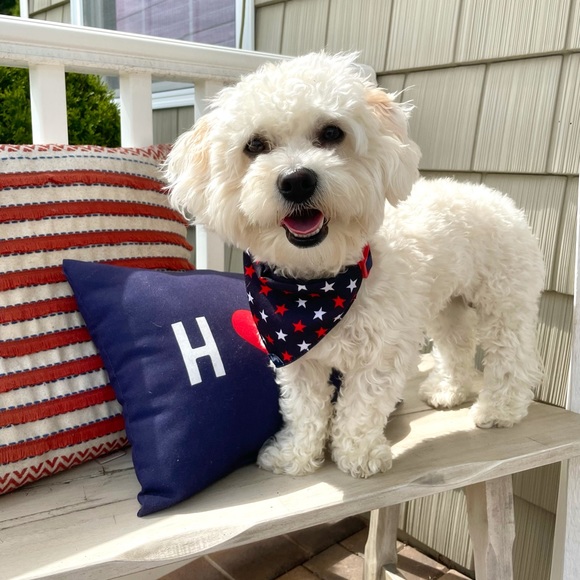 ☆ ABOUT ME ☆ - Picture 8 of 12